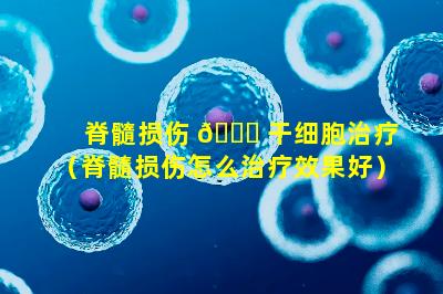 脊髓损伤 💐 干细胞治疗（脊髓损伤怎么治疗效果好）